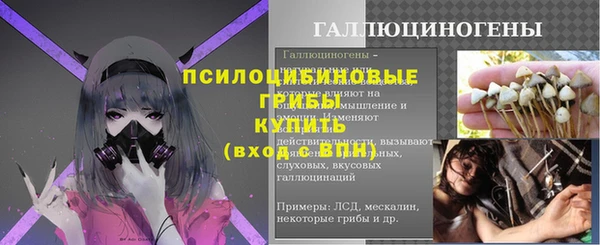 ECSTASY Алексеевка