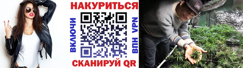 дарнет шоп  Волгодонск  Марихуана планчик 